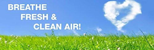 Fette Filter - Replacement Carbon Pre/Post Filters compatible with Holmes Air Purifiers - Compatible with Part AOR31 Filter I includes 6 Premium Activated Carbon