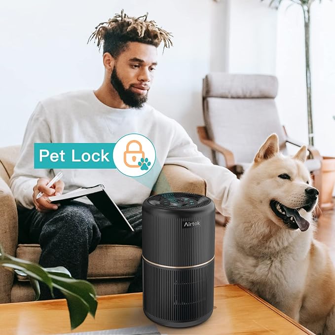 2 Pack Air Purifier for Home Bedroom, Office Desktop Air Cleaners with 12pcs Fragrance Sponge, H13 HEPA Filter, 4 Stage Filtration up to 376 sqft Black Available for California