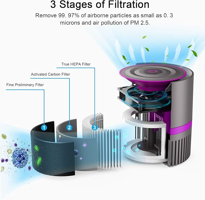 MEGAWISE Air Purifier for Home Bedroom Small Room Office, 3-IN-1 Filtration Air Cleaner for Smoke, Dust, Pet Dander, 100% Ozone Free, Available for California