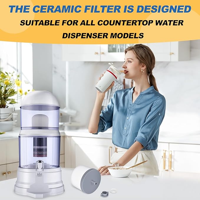 Replacement Ceramic Dome Water Filter with Coconut Shell Activated Carbon, 0.2 to 0.5 micron for Countertop Water Filter System 4PACK