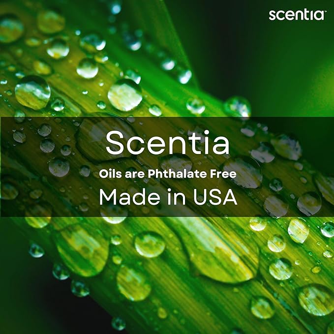 Fierce-Inspired Diffuser Oil - Scentia You Fragrance Oil Perfume Dupe - 20mL, 0.67 Fl oz Diffusers and Humidifiers - A and F Inspired Essential Scented Oil - Best for Aromatherapy, Mothers Day Gift