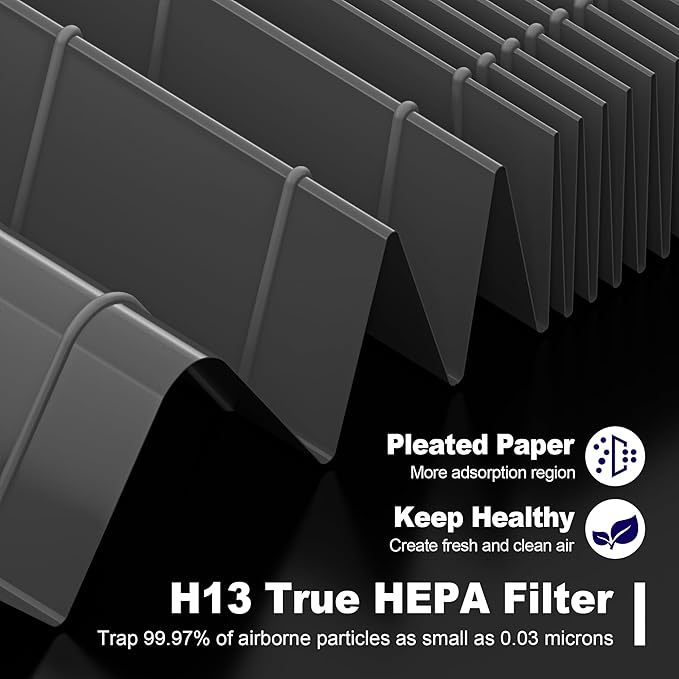 116130 Smoke Remover Replacement Filter H for Winix 5500-2 AM80 Plasmawave Air Purifier, True HEPA Filter and Activated Carbon Filter Combo Pack, 2 Set, Black