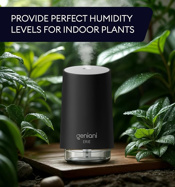 GENIANI Portable Small Cool Mist Humidifier β USB Powered (Not Rechargeable), Compact Desktop Humidifier for Plants, Office, Baby Room β Auto Shut Off & Night Light β Black, 0.25L