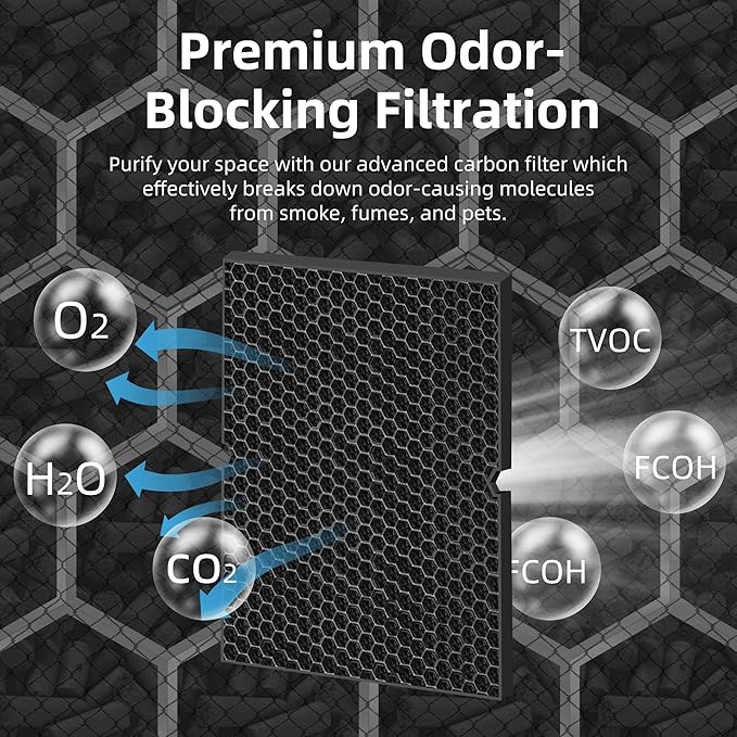 116130 HEPA Replacement Filter H for Winix 5500-2 Am80 Plasmawave Air Purifier,H13 True HEPA High-Efficiency Activated Carbon Filter,2 Combon Set