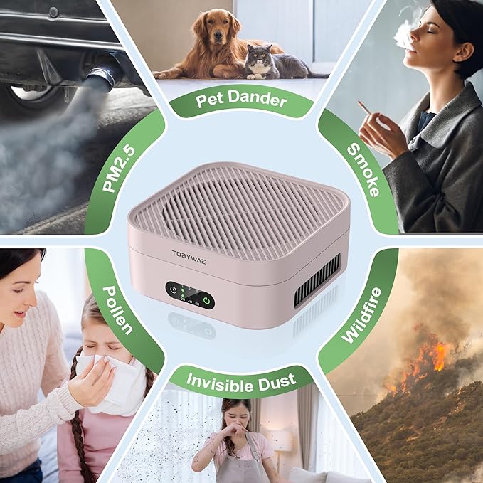Air Purifiers for Home, TDBYWAE Air Purifier for Bedroom Up to 600 ft², H13 True HEPA Air Purifier for Pets Dust Dander Pollen Odor Smoke, with New Quiet Wind Wheel System, for Desk/Car/Travel(Pink)