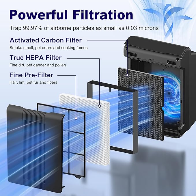 116130 Replacement Filter H for Winix 5500-2 AM80 Plasmawave Air Purifier, True HEPA Filter and Activated Carbon Filter Combo Pack, 2 Set