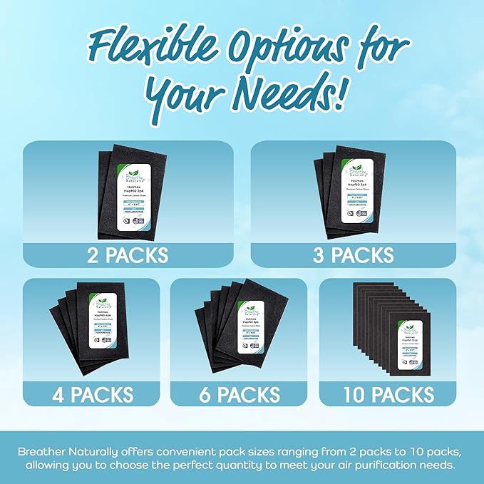 Breathe Naturally - Hapf600 HEPA Carbon Filter Replacement for Holmes Air Purifiers - High Efficiency Carbon Air Cleaner Filters - Compatible with Holmes HAPF600 Series - (6 Pack Carbon Filter C)