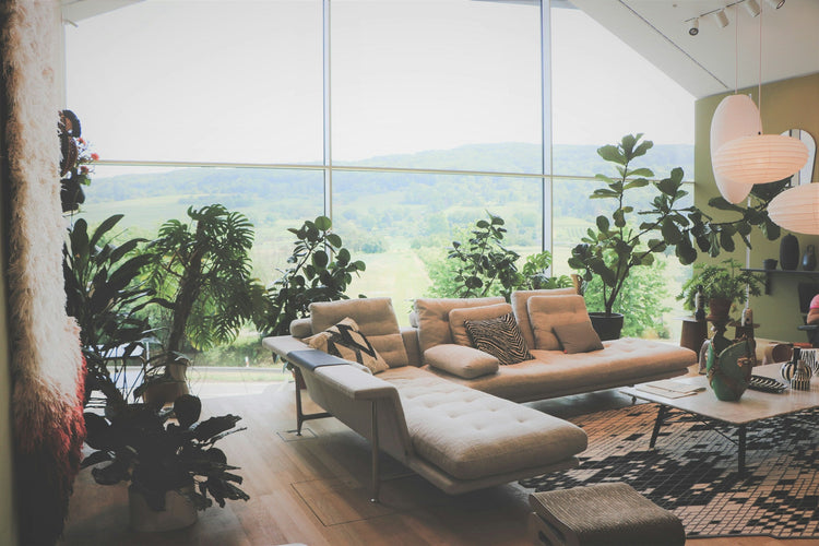 Clean living room with fresh air atmosphere