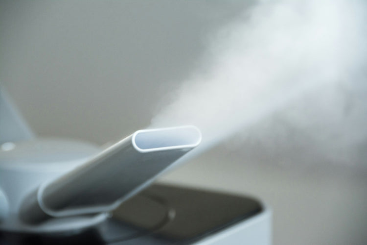 Cool mist vapor scene with humidifier