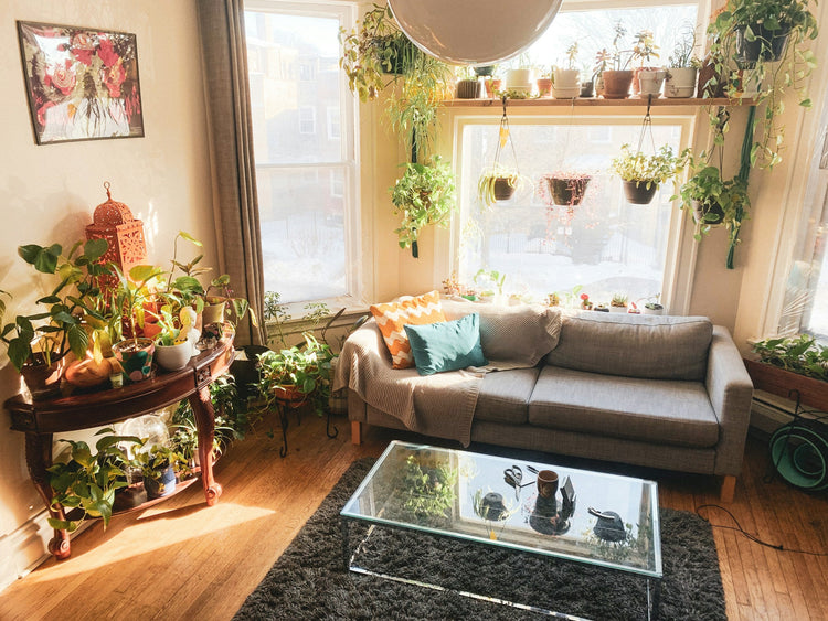 Home interior with dehumidifier