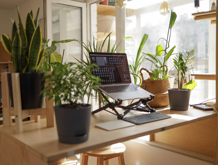 Minimal office with purified fresh atmosphere