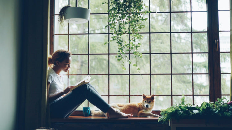 Living space with pets and fresh air
