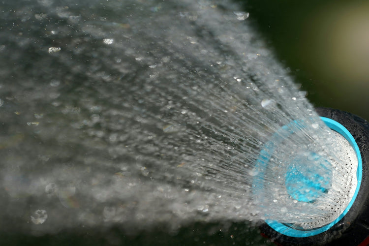 Shower filter attached to shower head