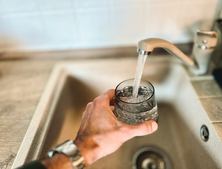 Whole house water filter outside home