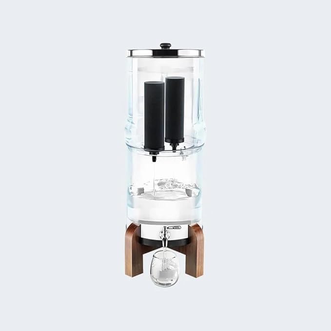NSF Certified Smart Carbon (Black) Replacement Filter Elements - Pack of 2 Filters for Phoenix Gravity Water Filters, Replacement for Berkey® BB9-2, Waterdrop & Other Countertop Water Filters