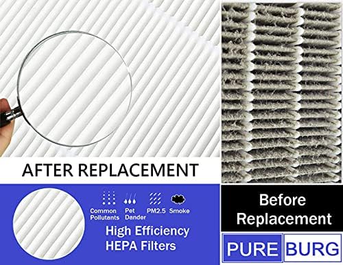 PUREBURG Replacement Filter Set Compatible with Purafide Air XP360 Air Purifier, H13 HEPA 4-Stage Filtration Activated Carbon Pre-Filters Air Clean Dust VOCs Odor