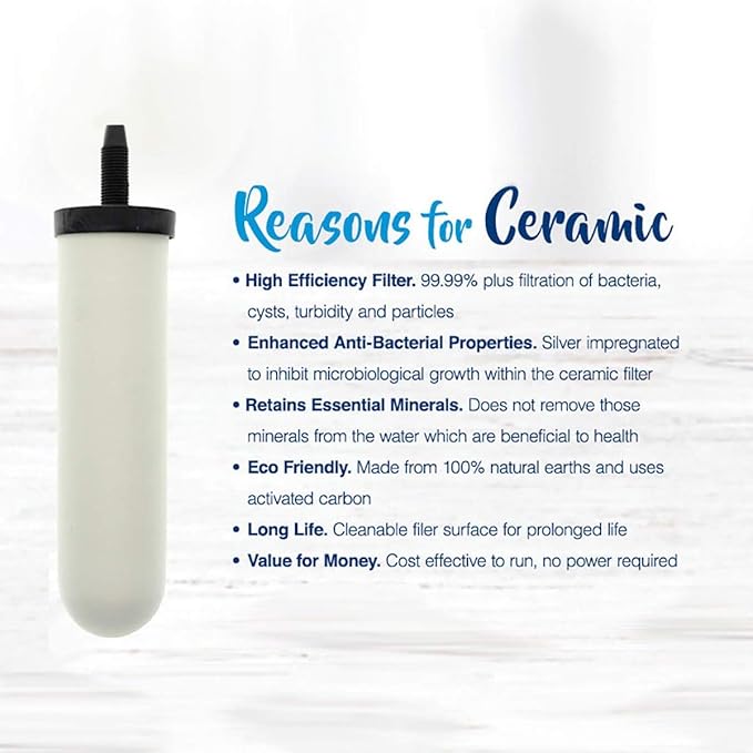 Doulton W9121214/British Berkefeld W9121215 0.5 Micron ATC Super Sterasyl Ceramic Water Filter for Gravity Systems (2 Pack)