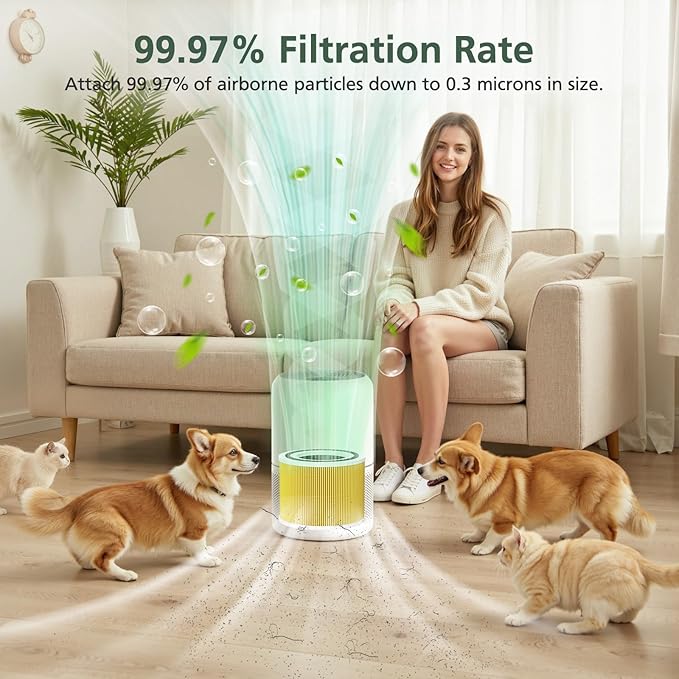 Core 300 Pet Care Replacement Filter for LEVOIT Core 300 Core300-P Core 300s VortexAir Air Purifier, 3-in-1 HEPA and Activated Carbon, Core 300-RF-PA, 2 Pack, Yellow