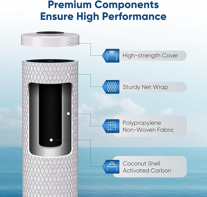 PUREPLUS 5 Micron 20" x 4.5" Whole House Coconut Shell Activated Carbon Water Filter Replacement Cartridge, Compatible with FC25B, EPM-20BB, CB-BB-20, CTO-F20B-5, 155783-43, 2 Pack