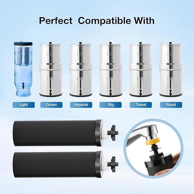 Black Purification Elements,Replacement Filters for ProOne® and Berkey® Filters,ProOne® Big+ or Berkey® Big Countertop Gravity Water Filter System(4 Pack)