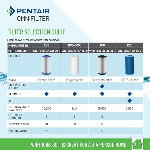 Pentair OMNIFilter Whole Home 10" Heavy-Duty Big Blue Water Filtration System with Pressure Relief, Black/Blue