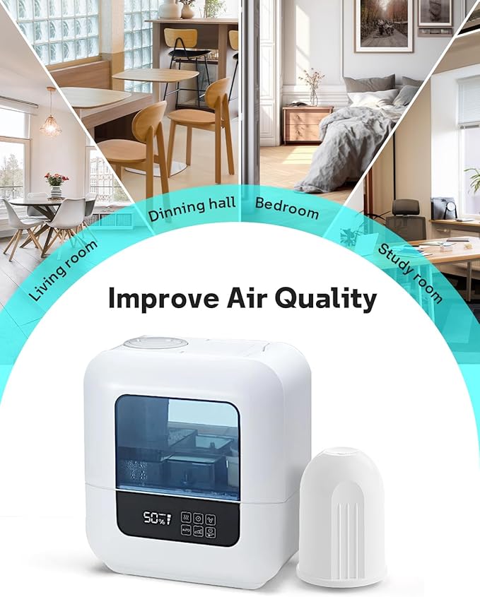 Leemone Aqua Pro 2-in-1 Humidifier Filter A250 Compatible with BONECO & AIR-O-Swiss Ultrasonic Humidifiers, 2 Pack