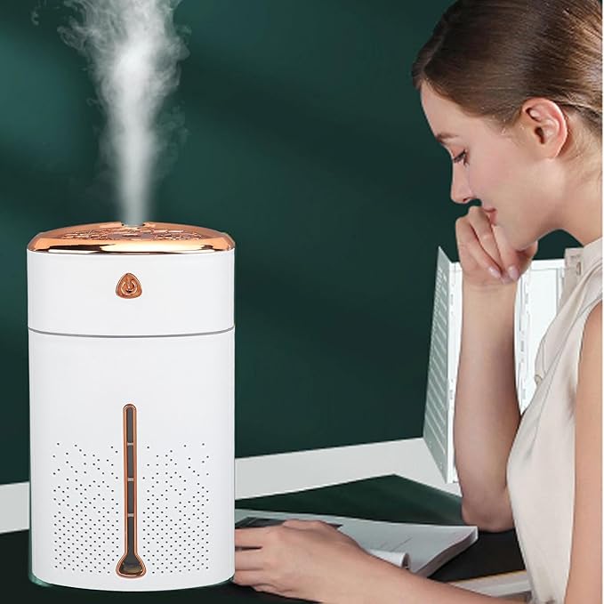 VGEBY Rechargeable Mini Humidifier,1000ml Ultrasound Touch Button USB Humidifier Desktop Humidifier Humidifiers for Bedroom Car Office Travel (White), VGEBYb0oz4tfc25-11