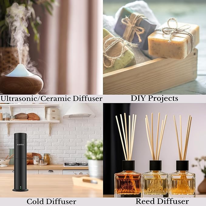 Fierce-Inspired Diffuser Oil - Scentia You Fragrance Oil Perfume Dupe - 50mL, 1.69 Fl oz Diﬀusers - A & F Inspired Natural Essential Scented Oil - Best for Aromatherapy, SPA and Home, Mothers Day Gift