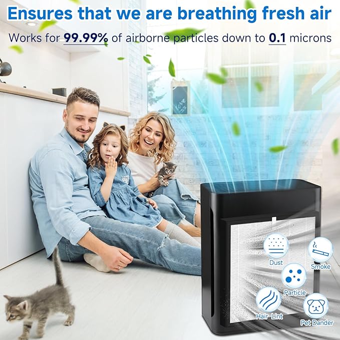 TZ-K2 TRUE HEPA Replacement Filter Compatible with ToLife TZ-K2, 3-in-1 H13 Activated Carbon TZ-K2-A Filter, 2 Pack