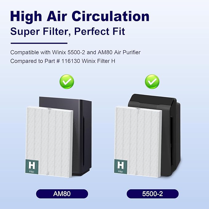116130 Replacement Filter H for Winix 5500-2 AM80 Plasmawave Air Purifier, True HEPA Filter and Activated Carbon Filter Combo Pack, 3 Set
