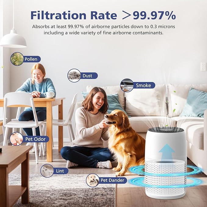 2-Pack Core Mini Filter Compatible with LEVOIT Core Mini Air Purifie-r, 3-in-1 H13 HEPA High-Efficiency Activated Carbon Pre-filter for LEVOIT Core Mini Replacement Filter, Core Mini