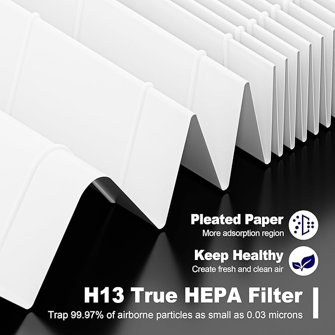 116130 Replacement Filter H for Winix 5500-2 AM80 Plasmawave Air Purifier, True HEPA Filter and Activated Carbon Filter Combo Pack, 4 Set