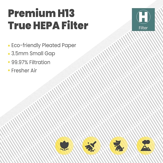 116130 Replacement Filter H for Winix 5500-2 AM80 Plasmawave Air Purifier, Includes 2 Pack True HEPA Filter and 2 Pack Activated Carbon Filter