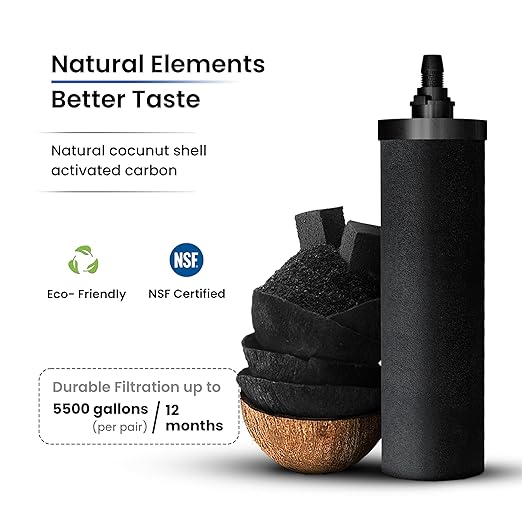 Gravity Water Filter System - 2.25 Gallons NSF Certified AISI 304 Stainless Steel Water Filter with 2 Smart Carbon Filters, 2 POSTreat Steel Fluoride Removal Elements & Free Stainless Steel Spigot
