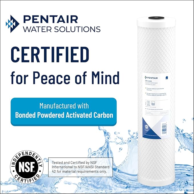 Pentair Pentek CBC-10 Carbon Water Filter, 10-Inch, Under Sink Carbon Block Replacement Cartridge with Bonded Powdered Activated Carbon (PAC) Filter, 10" x 2.5", 0.5 Micron, Pack of 2