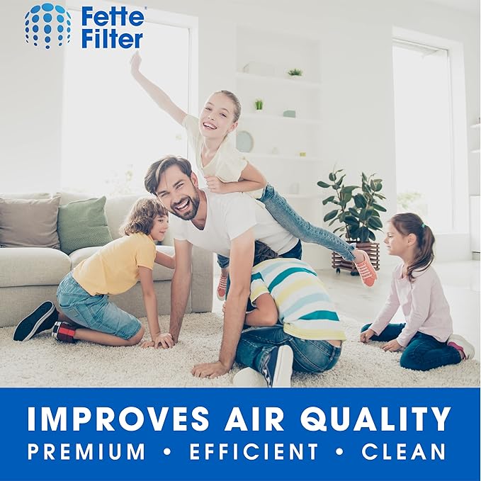 Fette Filter - HRFSC1 Activated Carbon Filter Compatible with Honeywell Filter S HRFSC1 for Honeywell HPA3000 PowerPlus and HPA5000 Insight Series Air Purifier - Pack of 1