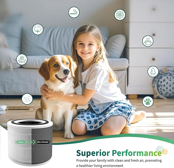 240 True HEPA 14 Air Purifier Filter Replacement, Compatible with PuroAir 240 Air Cleaner Purifier, 3-in-1 High-Efficiency Activated Carbon, 2 Packs