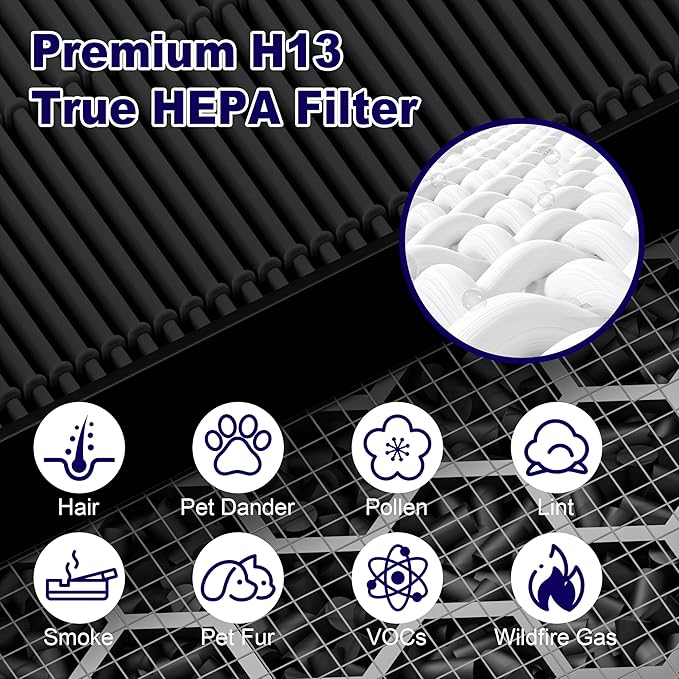116130 Smoke Remover Replacement Filter H for Winix 5500-2 AM80 Plasmawave Air Purifier, True HEPA Filter and Activated Carbon Filter Combo Pack, 2 Set, Black