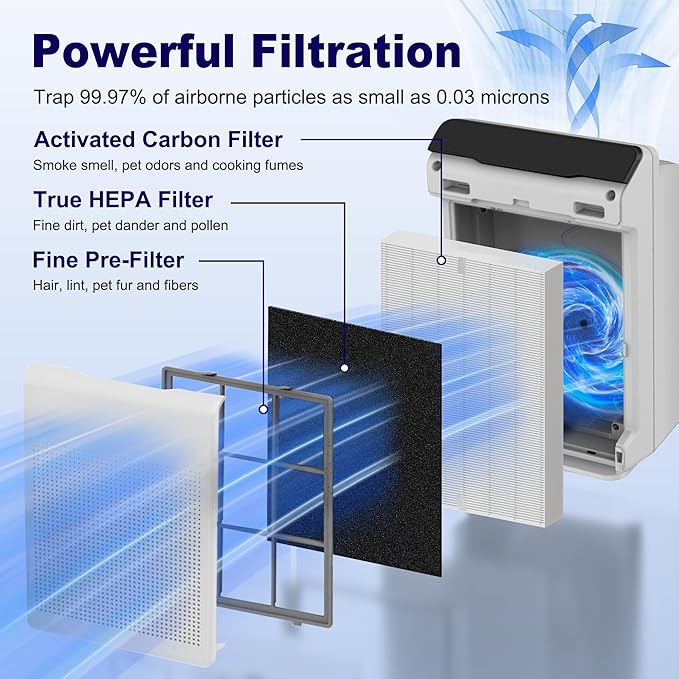 115115 HEPA Replacement Filter A for Winix PlasmaWave Air Purifier C535 5300 5300-2 6300 6300-2 P300 C909 9800, 2 x True HEPA Size 21 Filter + 8 x Activated Carbon Pre-Filters