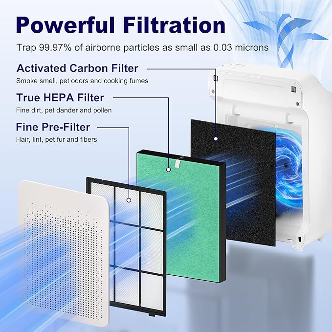 C545 True HEPA Replacement Filter S Compatible with Winix C545 Air Purifier 1712-0096-00 and 2522-0058-00, 2 x Green H13 True HEPA Filter + 8 x Black Activated Carbon Filters