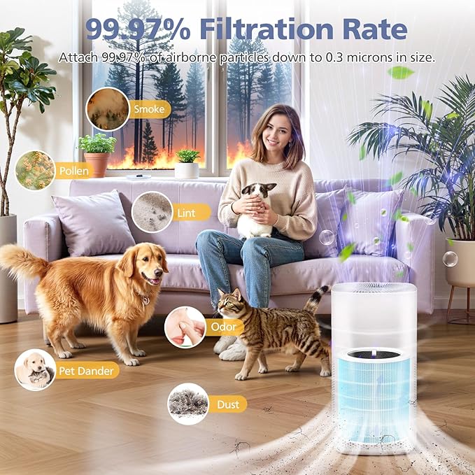 Core 600S Smoke Remover Replacement Filter for LEVOIT Core 600S & Core 600S-P Air Purifier, 3-in-1 High-Efficiency Activated Carbon Filter, Core 600S-RF-SR, 1 Pack, Blue