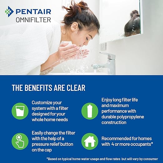 Pentair OMNIFilter Whole Home 20" Heavy-Duty Big Blue Water Filtration System with Pressure Relief, Black/Blue