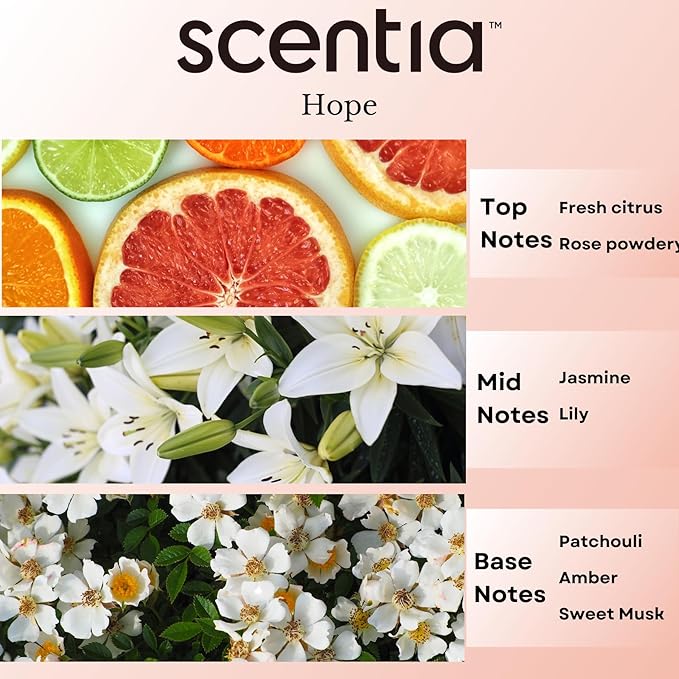 Chance-Inspired Diffuser Oil Refill- Scentia Hope Dupe Fragrance Oil Blend, Home Luxury Scents, Essential Oil Sets for Aromatherapy, Humidifiers & Candle Making | 50ml, 1.69FlOz, Mothers Day Gift