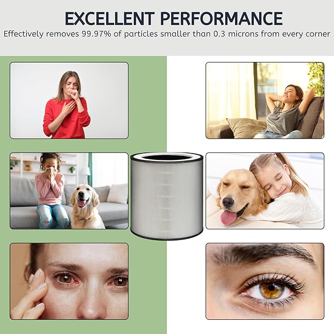Nispira C610 Replacement Filter Z for Winix C610 Air Purifier 1712-0121-00 H13 Grade True HEPA with Activated Carbon, 3 Packs