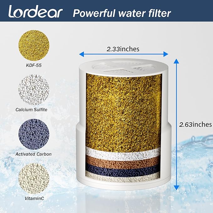Lordear Filtered Shower Head 8 Inch Stainless Steel Square Shower Head, High Pressure Showerhead for Hard Water,Ceiling or Wall Mounted Waterfall Shower (Chrome)